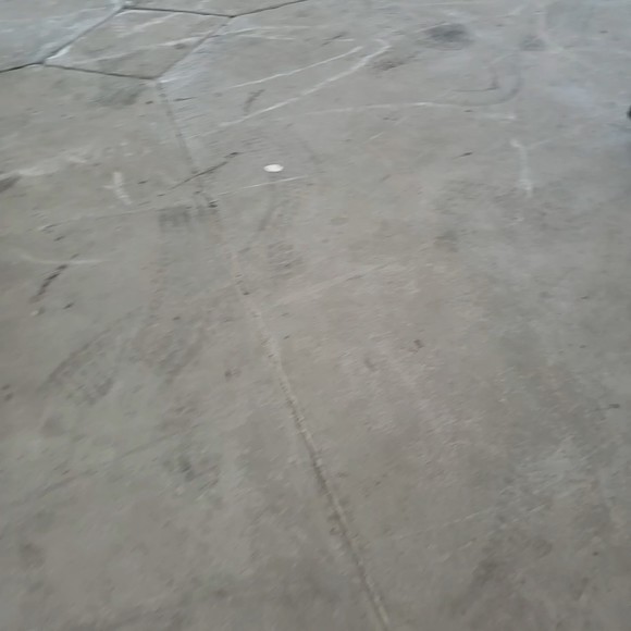 Meet your Posher, Alina - Picture 1 of 1